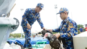 Spring warmth comes to the remote island