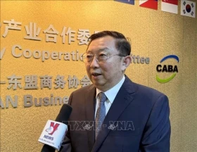 越中建交75周年：两国关系取得令人瞩目的成果