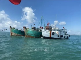 解除IUU“黄牌”警告：巴地头顿省成功消除“三无”渔船
