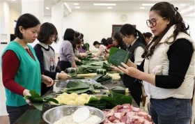 越南驻中国大使馆举行迎春活动