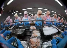 Vietnam secures top five spot in Singapore's seafood market
