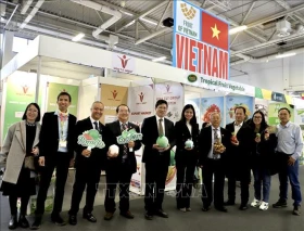 越南参加2025年德国柏林国际水果蔬菜展览会