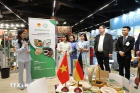 让越南有机农产品进入德国及欧洲市场创造机会