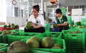 Nâng chất sản phẩm OCOP