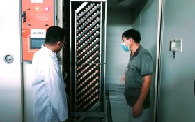 Huyện Phú Giáo: Nâng “chất” phát triển ngành nông nghiệp