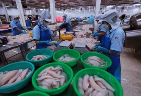 Thành lập Ban Chỉ đạo xây dựng Đề án Phát triển kinh tế tư nhân