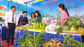 Huyện Dầu Tiếng: Chú trọng phát triển nền nông nghiệp xanh bền vững