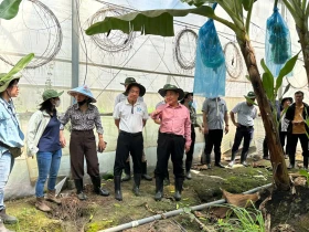 Đoàn công tác Sở Nông nghiệp và Môi trường khảo sát phát triển nông nghiệp công nghệ cao tại Phú Giáo