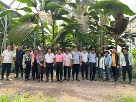 Provincial DoAE’s delegation conducts survey on high-tech agricultural development