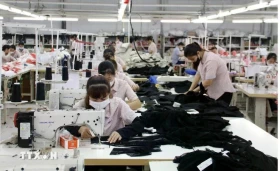 越共中央总书记苏林：私营经济——推动越南繁荣发展的杠杆