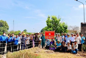 Phường Phú Chánh, TP.Tân Uyên: Thực hiện mô hình vườn cây ăn trái