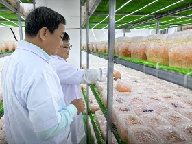 Trần Hà Đăng, người “nặng lòng” với thực phẩm sạch