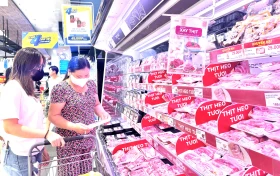 Nỗ lực bình ổn giá thịt heo