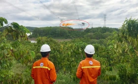 Bảo đảm an toàn lưới điện cao áp vào mùa khô