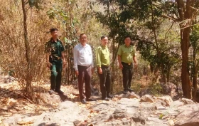 Chủ động phòng, chống cháy rừng cao điểm mùa khô