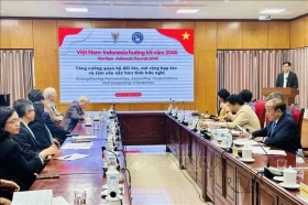越南与印尼加强伙伴关系和友谊之情