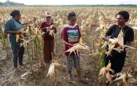 Indonesia approves 7 billion USD budget for food security in 2025