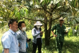 Khai thác tốt lợi thế, hướng đến nông nghiệp xanh