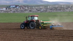EU considers agriculture strategic sector - vision for sustainable future