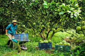 Sức sống mới trên vùng đất Chiến khu Đ anh hùng