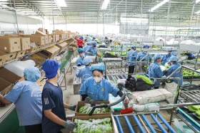 Xã An Thái, huyện Phú Giáo: Phát triển kinh tế gắn với bảo vệ môi trường
