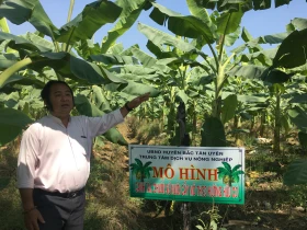 Ngành Nông nghiệp: “Quả ngọt” từ ứng dụng khoa học - công nghệ