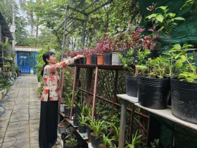 Developing a green - clean - beautiful Binh Duong