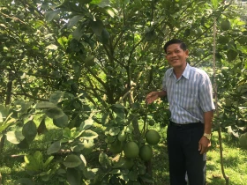 Nâng tầm ngành nông nghiệp từ sản xuất xanh