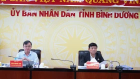 UBND tỉnh xem xét, cho ý kiến các dự thảo về thu chi ngân sách, đầu tư công, dự án trọng điểm
