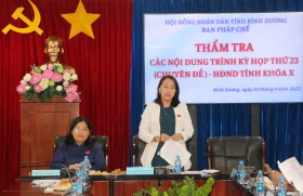 Ban Pháp chế HĐND tỉnh thẩm tra các dự thảo nghị quyết trình kỳ họp 23 (chuyên đề) HĐND tỉnh