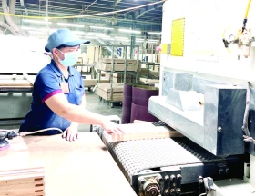 Mở lối cho xuất khẩu