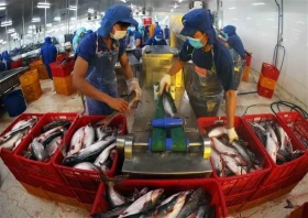 世行预测越南经济稳定增长 贫困户发生率继续下降