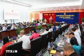 Cử tri Thành phố Hồ Chí Minh, Bình Dương và Bà Rịa-Vũng Tàu đồng ý hợp nhất