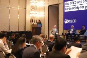 越南外交部副部长阮明姮出席2025年经合组织东南亚区域论坛