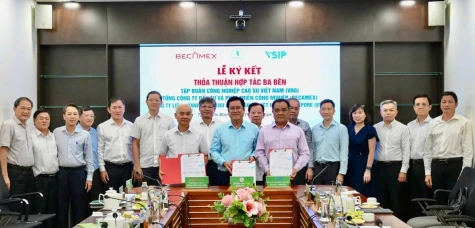 Phát triển năng lượng sạch phục vụ tăng trưởng xanh