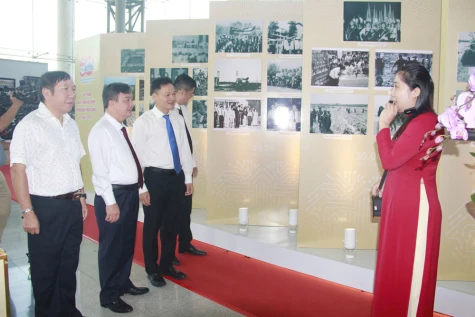 Sức hút của những cuộc triển lãm