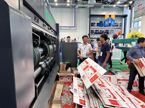 Promoting green technology development inpaper and packaging industry