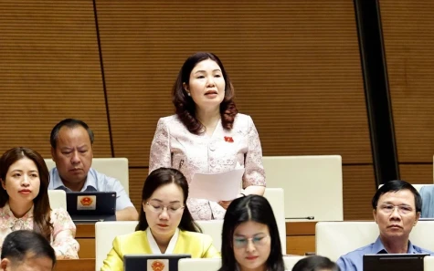 Họp Quốc hội: Kiến nghị bãi bỏ quy định về công bố hợp quy sản phẩm, hàng hóa