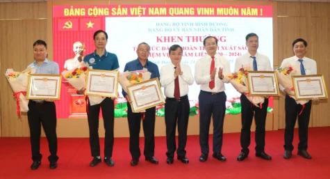 Binh Duong provincial People's Committee Party Committee concentrates on guiding the effective execution of political objectives