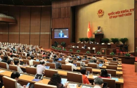 Họp Quốc hội: Đề xuất tiếp tục miễn thuế sử dụng đất nông nghiệp đến hết 2030
