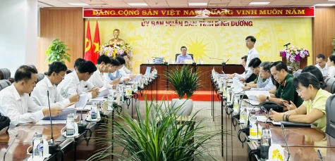 Bình Dương có thêm 8 xã đạt chuẩn nông thôn mới kiểu mẫu