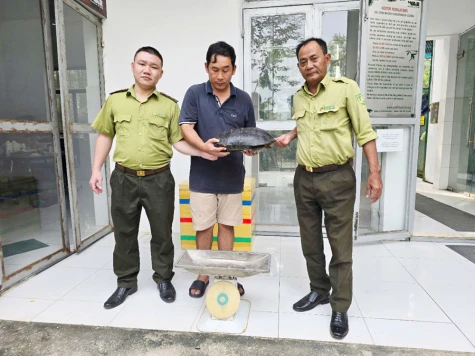Nuôi động vật hoang dã làm “thú cưng”: Coi chừng vi phạm pháp luật
