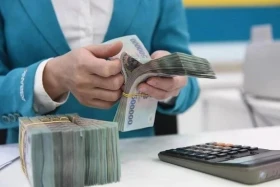 Reference exchange rate up 10 VND at week’s beginning