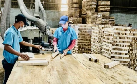 Phát triển nội lực để thích ứng với thị trường xuất khẩu