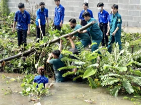 TP.Thủ Dầu Một: Chung tay bảo vệ môi trường sống