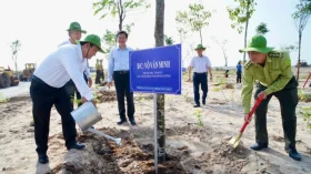 “Trồng cây, gây rừng”: Lan tỏa, hiệu quả