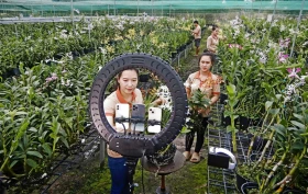 Nghệ sĩ nhiếp ảnh Phạm Minh Giảng: Lưu giữ nét đẹp qua ống kính