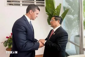 越南与巴拉圭建交30周年：双边合作潜力巨大