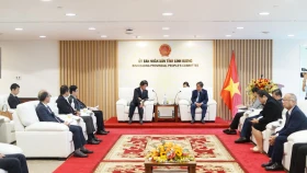 Cooperation opportunities between Binh Duong and Japan opened up
