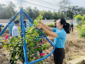 Practical works performed for building a cultural and civilizable lifestyle